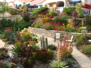 AA Drought Resistant mediterranean-landscape