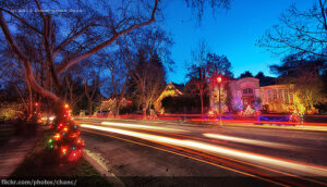 AA Leland Manor XMas Tree