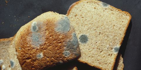 landscape-1492783519-moldy-bread-128630440